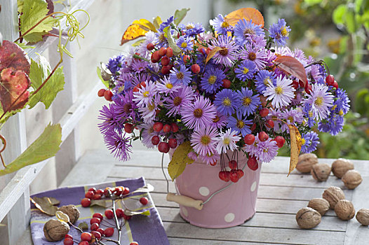 秋季花束,金属,桶,紫苑属,苹果树