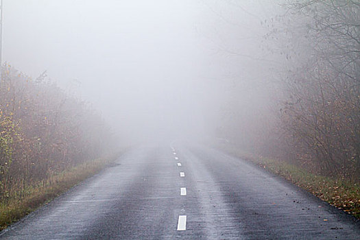 沥青,道路,秋天,雾