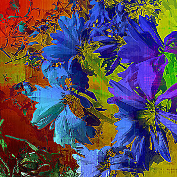 艺术,花,旧式,活力,彩虹,背景,蓝色,紫苑属