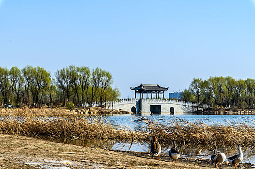 中国长春北湖国家湿地公园