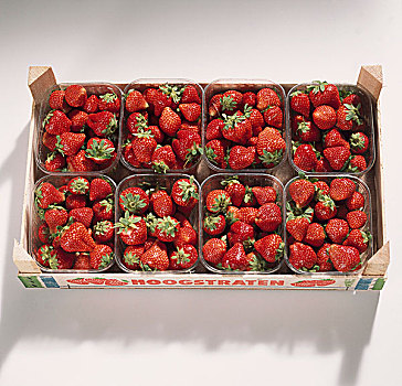 草莓,扁篮