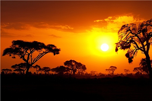 非洲,日落