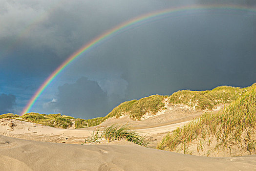 彩虹,上方,沙丘,风景,丹麦,欧洲