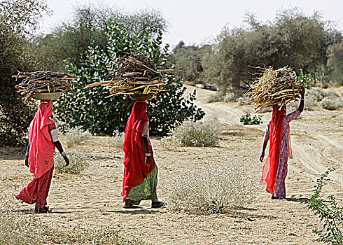 拉贾斯坦邦,塔尔沙漠,三个女人,传统服装,火,木