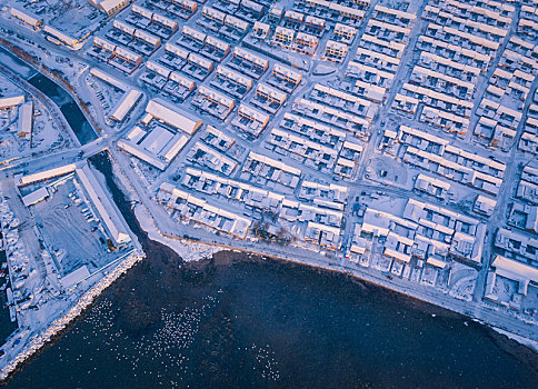 航拍山东威海俚岛镇烟墩角拍摄的冬天雪地天鹅风景