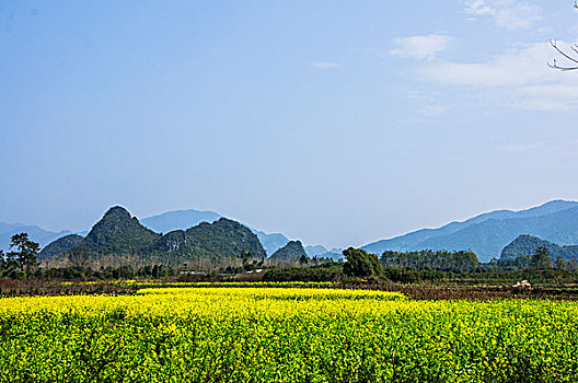 田园春色