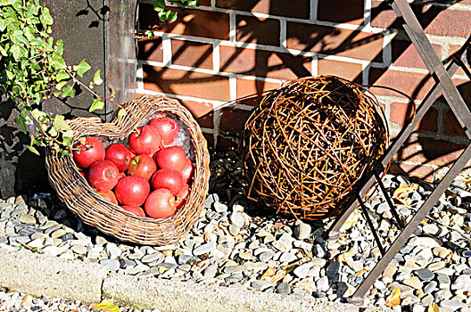 园艺装饰,苹果,篮筐
