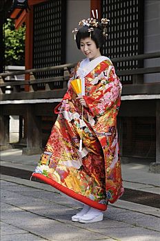 新娘,穿,传统,和服,日本神道,婚礼,神祠,京都,日本,亚洲