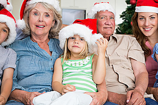 高兴,几代人,穿,圣诞帽,沙发