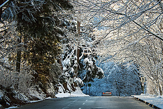 史坦利公园,开车,冬天,温哥华,不列颠哥伦比亚省,加拿大