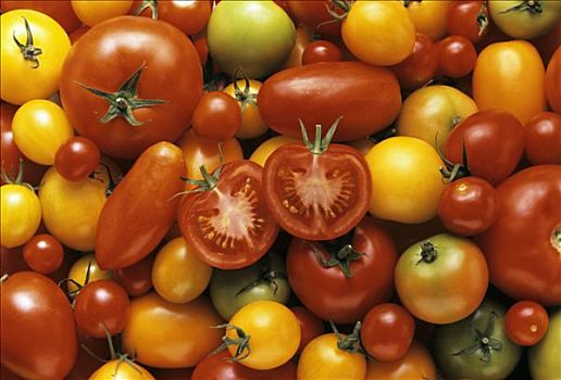 西红柿,静物,全画幅