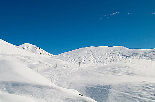 高山,雪