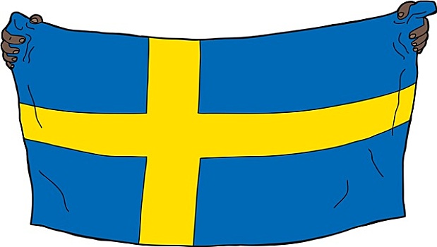 拿着,瑞典人,旗帜