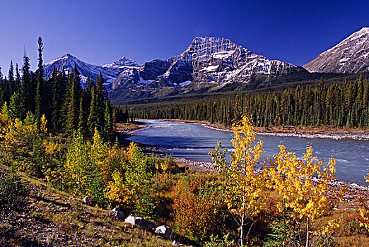 河,山峦,班芙国家公园,艾伯塔省,加拿大