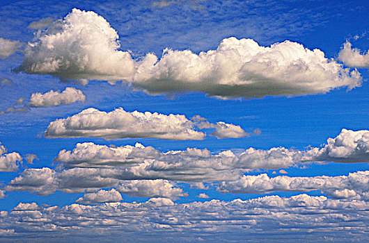 云,积云,蓝色背景,天空,不列颠哥伦比亚省,加拿大