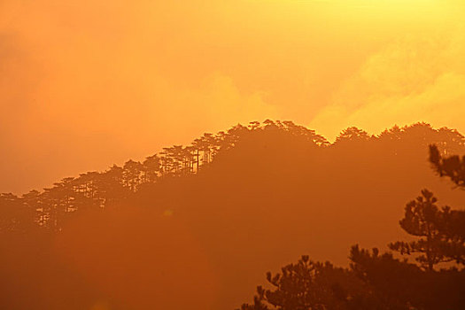 黄山,日出,云海,壮观,名胜,朝霞,0040