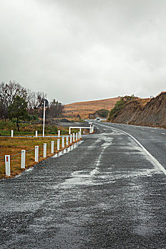 新西兰路