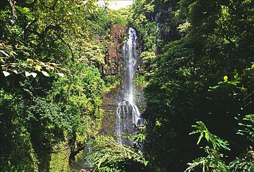 夏威夷,毛伊岛,海岸,瀑布,围绕,茂密,绿色植物