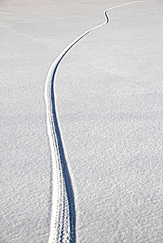 雪地上一条弯曲的轮胎痕迹