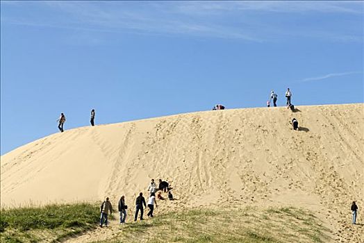 沙丘,靠近,日德兰半岛,丹麦,欧洲
