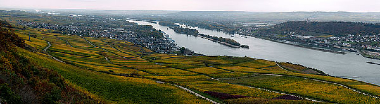 德国莱茵河畔葡萄园,世界文化遗产