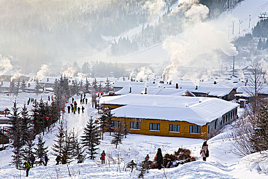 雪乡,双峰林场,村庄,风景,白天,黑龙江,牡丹江