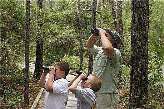 爱鸟者,自然,木板路,父亲,儿子,双筒望远镜,岛屿,阿拉巴马,美国