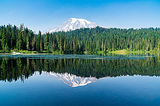 雷尼尔山,反射,湖,雷尼尔山国家公园,西雅图,华盛顿,美国