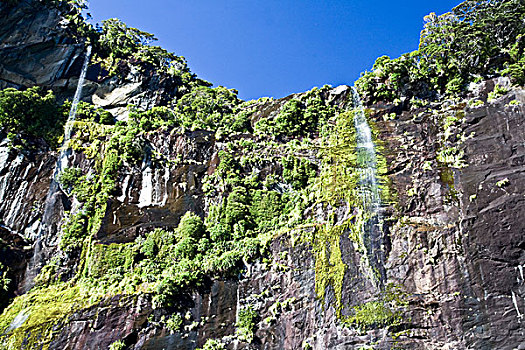 瀑布,米尔福德峡湾,新西兰