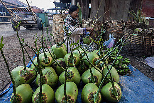 女人,销售,椰子,市场,掸邦,缅甸,亚洲
