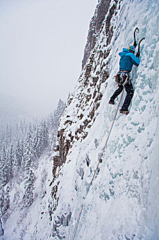 女性,攀登,冰,月光,溪流,卡纳纳斯基斯,艾伯塔省,加拿大