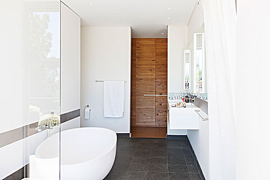 现代,浴室,室内,大,浴缸,木门