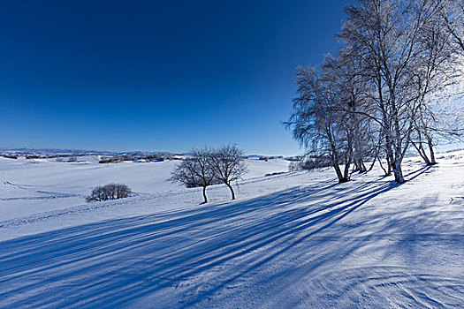 内蒙古坝上雪地自然风光