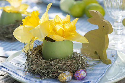 遮盖,复活节餐桌,水仙花