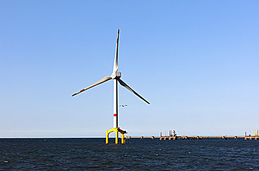 外滨,风电站,北海,靠近,下萨克森,德国,欧洲