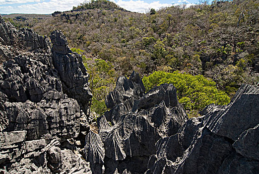 马达加斯加,国家公园,出奇,岩石构造