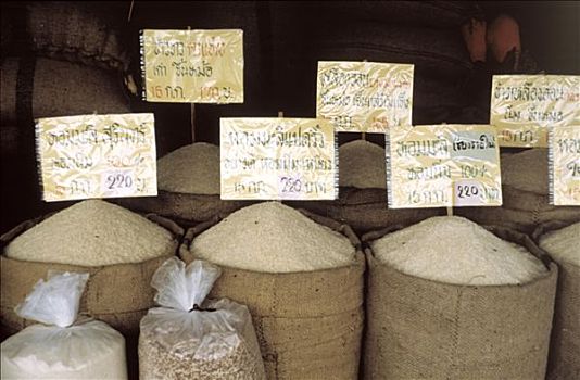 种类,稻米,曼谷,市场
