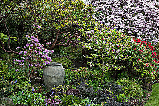 花园,时间,维多利亚,不列颠哥伦比亚省,加拿大