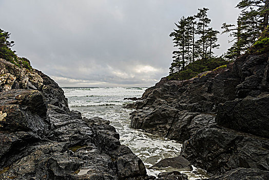 岩石,海岸线,环太平洋国家公园,自然保护区,不列颠哥伦比亚省,加拿大