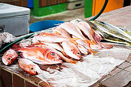鲜鱼,市场货摊,布里奇敦,巴巴多斯