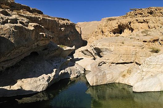 水池,岩石,峡谷,旱谷,沙尔基亚区,区域,阿曼苏丹国,阿拉伯,中东