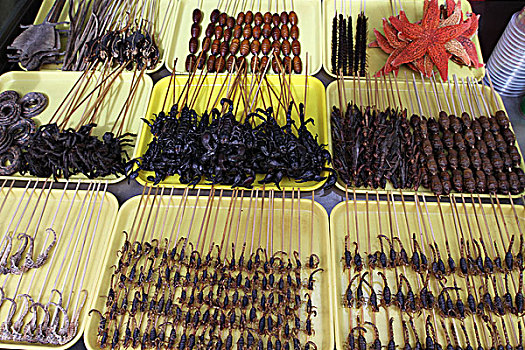 蝎子,海马,蜘蛛,海星,昆虫,出售,食物,市场,北京,中国
