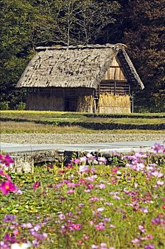 世界遗产,乡村,传统,茅草屋顶,房子,花