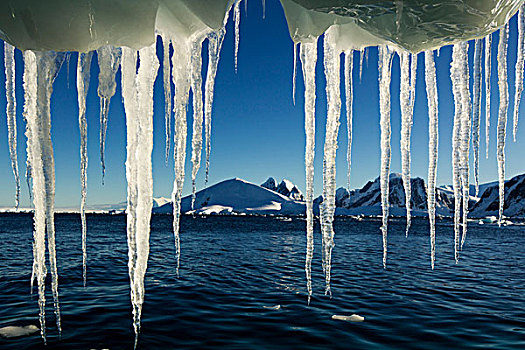 南极,冰柱,悬挂,融化,冰山,靠近,雷麦瑞海峡