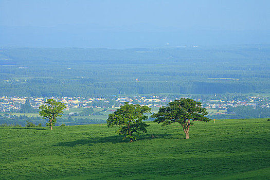 高地,农场