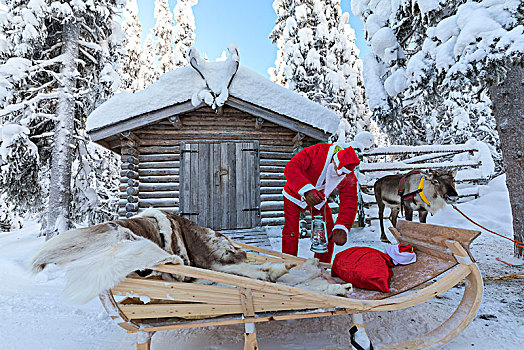 圣诞老人,准备,雪撬,库萨莫,北方,区域,拉普兰,芬兰