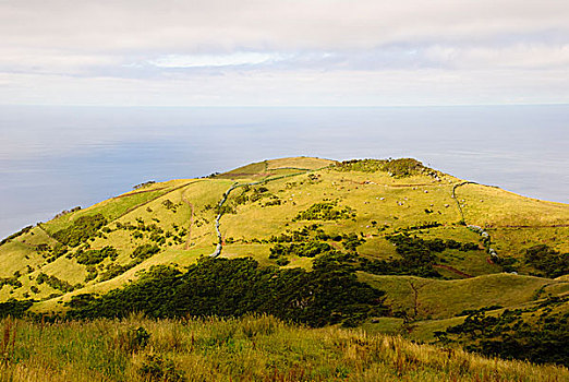 风景