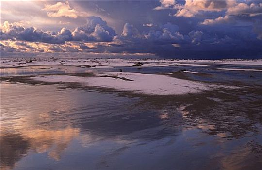 积雪,泥滩,沙丘,特塞尔,一个,瓦登岛,荷兰
