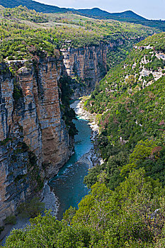 峡谷,靠近,培拉特,阿尔巴尼亚,欧洲