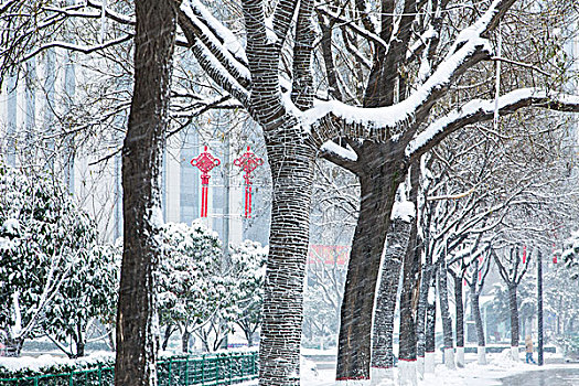 雪景